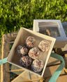 Chocolate Balls 8pc